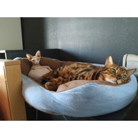 Mugi et Pixie